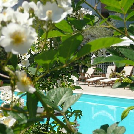 Hotel Avra 리지아 외부 사진