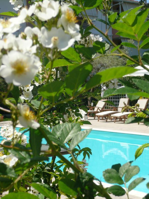 Hotel Avra 리지아 외부 사진